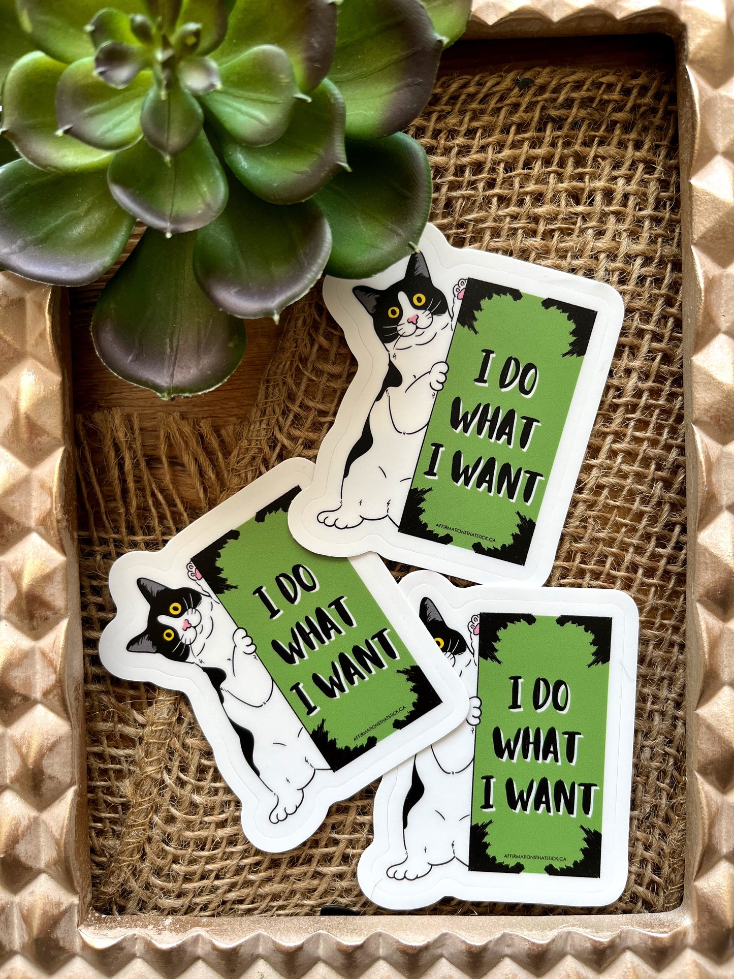 I do what I want Affirmation Sticker-Affirmations That Stick CA