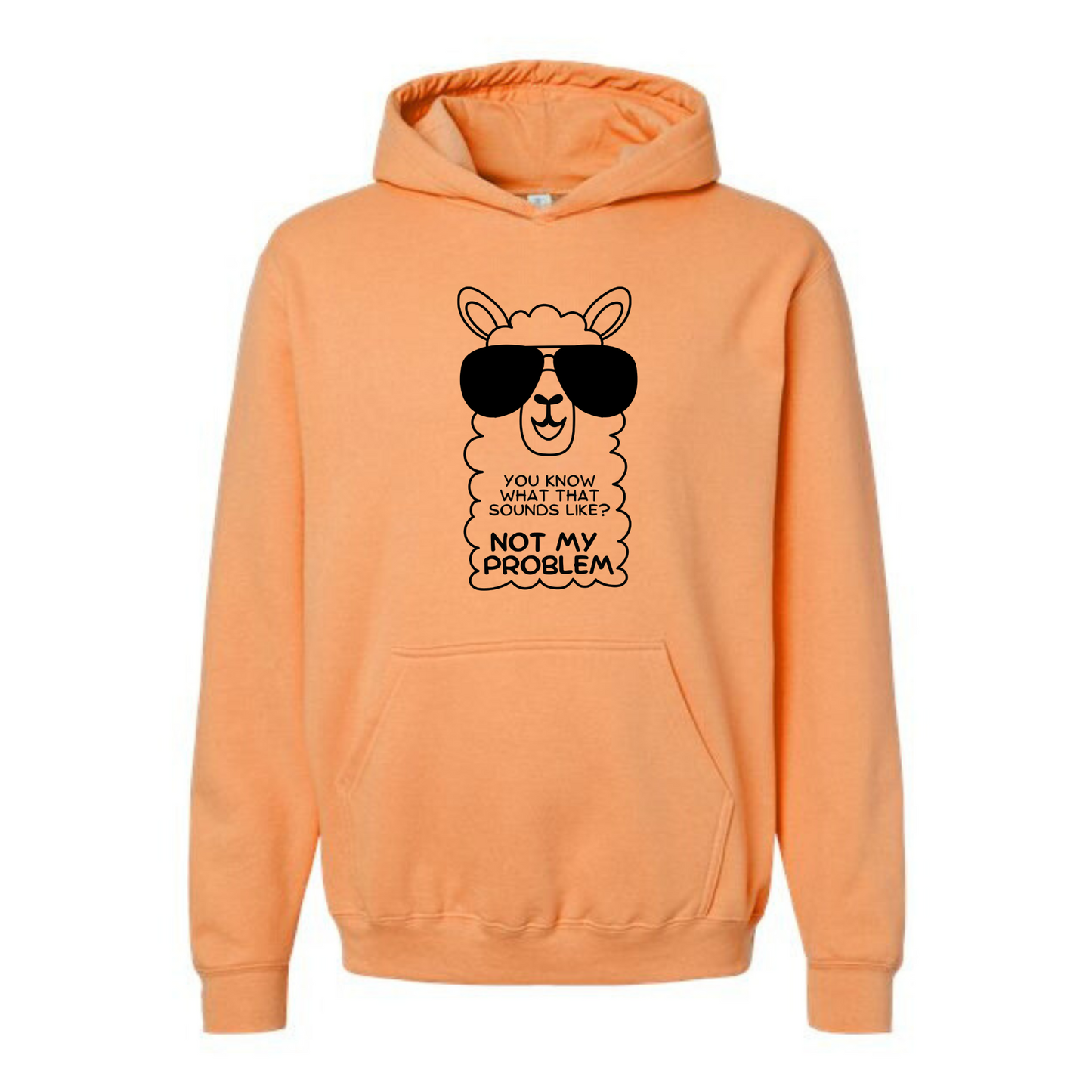 Not my Problem Affirmation Hoodie-Affirmations That Stick CA