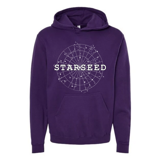 Starseed Affirmation Hoodie-Affirmations That Stick CA