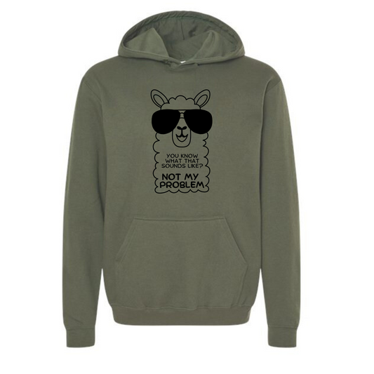 Not my Problem Affirmation Hoodie-Affirmations That Stick CA