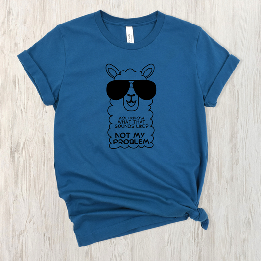 Not my Problem T Shirt-Affirmations That Stick CA