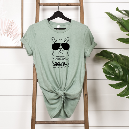 Not my Problem T Shirt-Affirmations That Stick CA