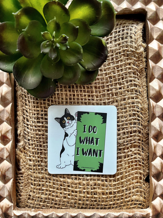 I do what I want Affirmation Magnet-Affirmations That Stick CA