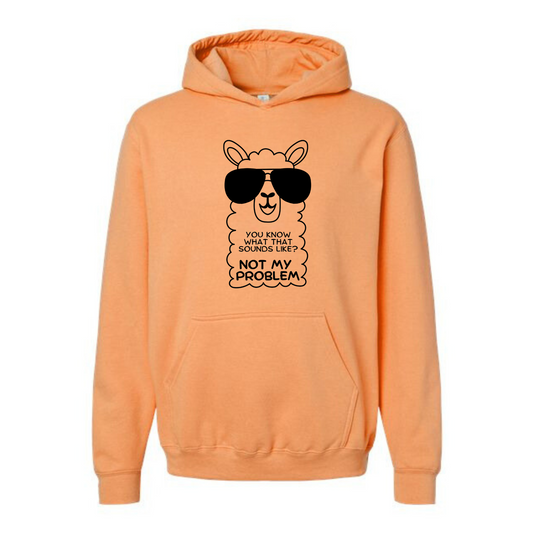 Not my Problem Affirmation Hoodie-Affirmations That Stick CA
