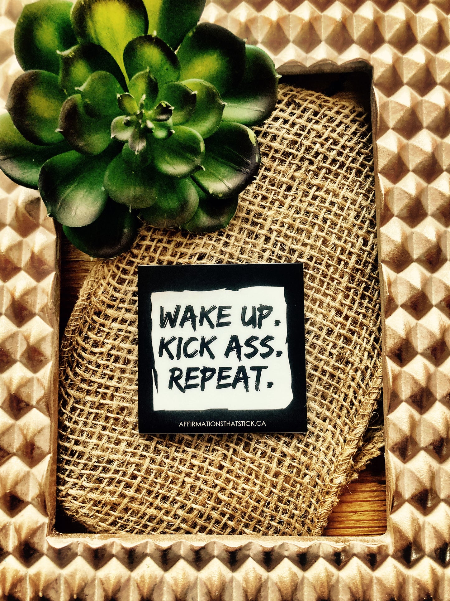 Wake up. kick ass. Repeat. Affirmation Magnet-Affirmations That Stick CA