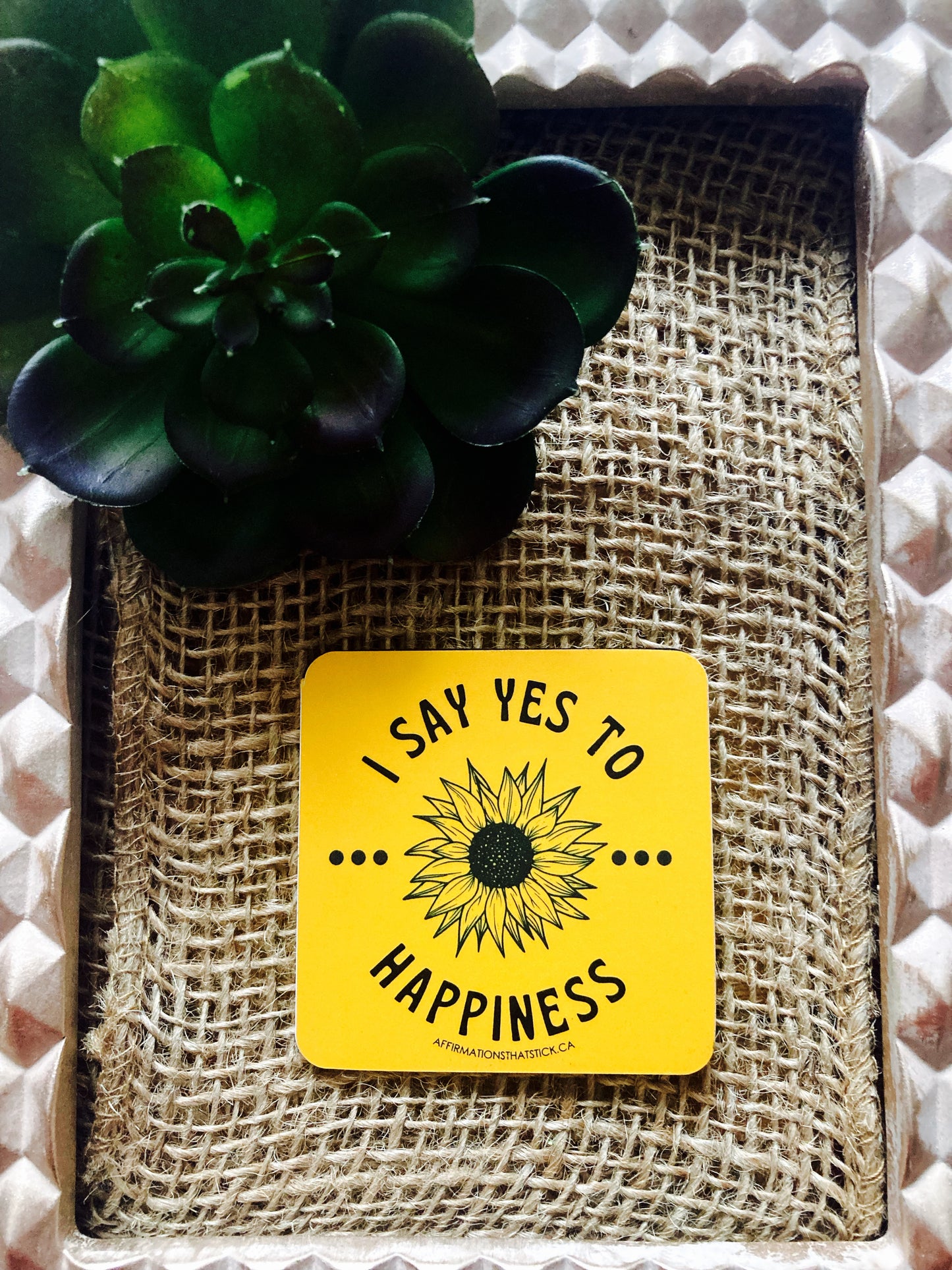 Happiness Affirmation Magnet-Affirmations That Stick CA
