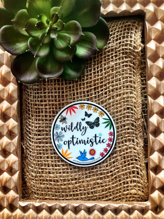 Wildly Optimistic Affirmation Magnet-Affirmations That Stick CA